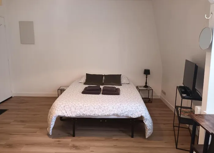 213 Au Coeur Du Campus De Belle Beille 公寓