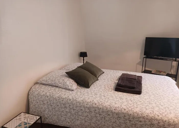 213 Au Coeur Du Campus De Belle Beille * 昂热